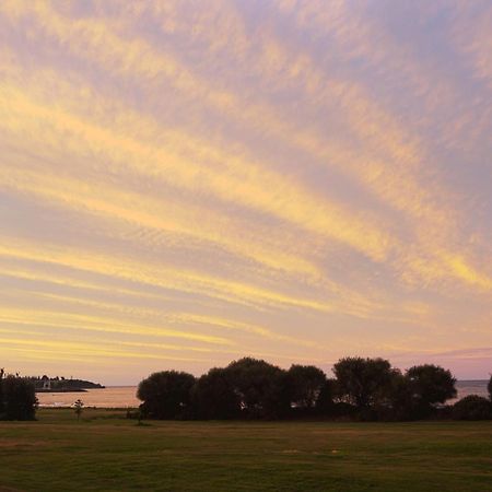 Discovery Parks - Devonport Exteriér fotografie